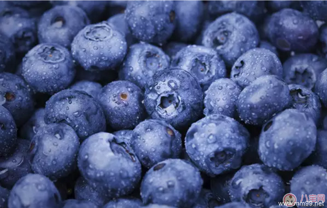 宝宝吃蓝莓对身体健康有什么好处?